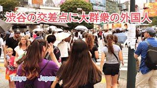 4K Shibuya Scramble Square Crossing Walk . Tokyo Japan  June 2023