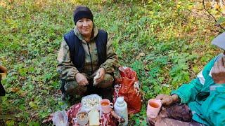 В лес за опятами  перекус в лесу 