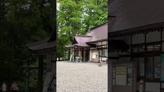 戸隠神社 Togakushi Shrine　 #japan #togakushi #shrine