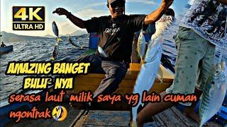 4K videoamazing banget.niat mancing baby gt malah di serbu ribuan ikan kembung