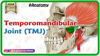 Anatomy of Temporomandibular joint  TMJ  Animation Gross Anatomy medical animations