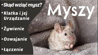 MYSZYOpieka Żywienie Klatka Oswajanie Łączenie