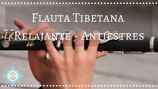  FLAUTA TIBETANA RELAJANTE ANTIESTRES  MEDITAR Y DESCANSAR  RELAJAR LA MENTE   - Music Therapy