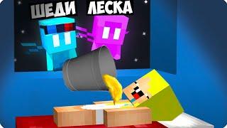 Я И ЛЕСКА СТАЛИ ЭЛЛЕЯМИ И ЗАТРОЛЛИЛИ НУБИКА В МАЙНКРАФТ ШЕДИ MINECRAFT