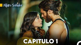 Pájaro soñador - Capitulo 1 Audio Español - Larga Capitulo  Erkenci Kuş