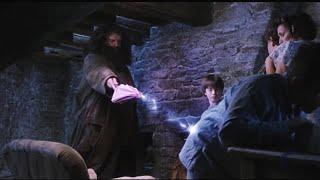 Hagrid visits Harry on his 11th bday and gives Dudley a pigtail  Harry Potter and Sorcerers Stone