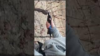 customers using video of SW-PRU-45 electric pruning shear