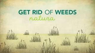 How to Kill Weeds Naturally