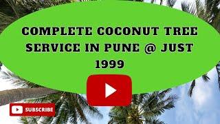 Coconut Tree Safetynet Service in Pune . Call 08657166943 . #naralmitra #coconuttreesafetynetindia