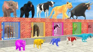 Cow Elephant Lion Gorilla Tiger T-Rex Choose The Right Mummy ESCAPE ROOM CHALLENGE Animals Cage Game