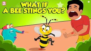 What if a Bee Stings You?  How To Treat A Bee Sting?  Honey Bee Attack  The Dr. Binocs Show