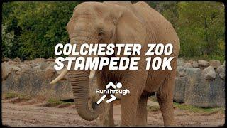 Colchester Zoo Stampede 10k 2024