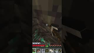 POV your playing Minecraft for the first time in a few years and this happens