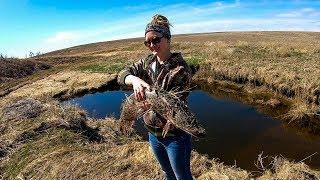 Hunting big Pike in a small creek