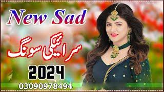 New Saraiki Song 2024  Saraiki All Singer Songs 2024