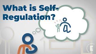 What is Self Regulation?