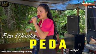 PEDA - Elsa Meriska Cover - LIVE DI DESA TAKARAS