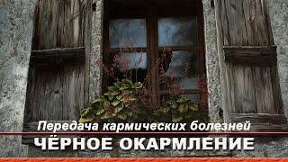 Чёрное окармление карма. Находки опасны. Креатив и творчество. Терпимость и толерантность