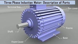 Three phase induction motor construction