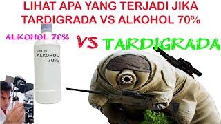 ZOOM 1000X TARDIGRADA VS ALKOHOL 70%