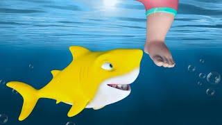 Baby Shark Doo Doo  Nursery Rhymes & Kids Songs  Shark Videos for Kids