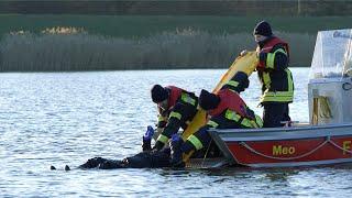 Kurz.Erklärt - Wasserrettung I Ja zur Feuerwehr