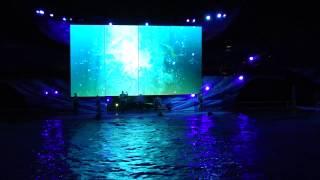 Shamu Rocks at SeaWorld Orlando - 2013 Version with Fireworks FULL SHOW