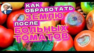 КАК ОЧИСТИТЬ ЗЕМЛЮ ПОСЛЕ ФИТОФТОРЫ БЕЗОПАСНО И БЕСПЛАТНО