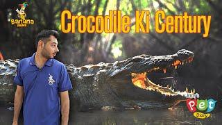 Crocodile Century  Episode # 4  Jimmy’s Pet Diary  Banana Prime