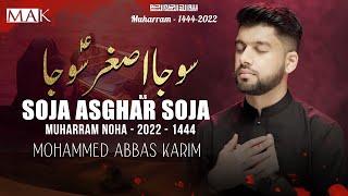 Soja Asghar Soja  Mohammed Abbas Karim Noha 2022  Hazrat Ali Asghar Noha 2022  Muharram 1444