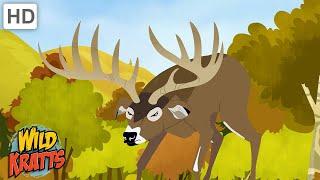 A Deer Sparring Match  Wild Kratts