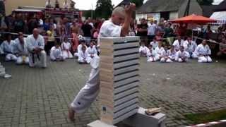 Karate Skill 14 Bricks