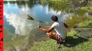 NETTING the GIANT CANAL WHALE in my BACKYARD **attempt 1**