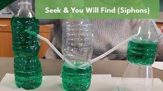 Seek & You Will Find Siphon  Science & STEAM for Kids