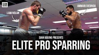 Elite Pro Sparring - Ft Liam Nolan Ammari Diedrick - 4DMMA