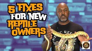 Top 5 New Reptile Keeper Mistakes  #reptiles #snake  #sphericreptiles #youtubevideos