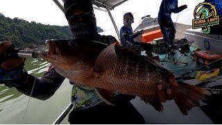 VLOG 304  MAK JANDA SAKIT GIGI DITARIK KELUAR DARI RUMAH  PULAU AMAN