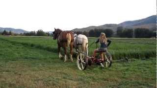 Mowing Hay with Horses