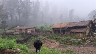 Life in Remote Village of Nepali Mountain । Life in Nepali Village Life in Summer । Full Documentary