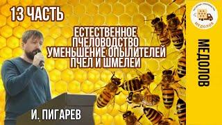Естественное пчеловодство. Уменьшение опылителей пчел шмелей. Пигарев И. Часть 13