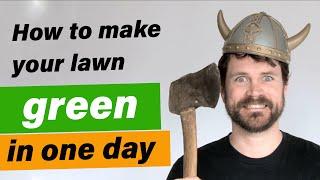 How to Make Your Lawn Green in One Day - Solving Lawn Dilemmas