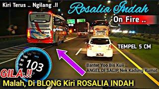 ANGEL . Nek Wist Kadung Kumat  Aksi Bus ROSALIA INDAH Buat HR Kewlahan