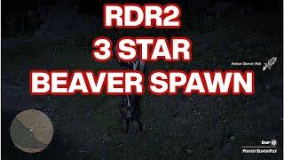 RDR2 My Favorite Beaver Spawn