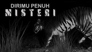 HARIMAU JAWA -- Apakah Ini JEJAKMU ?? - Penelusuran Di Hutan Angker