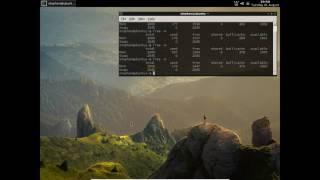 Ubuntu Server with Openbox window manager and Tint2 panel