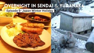 Overnight in Sendai & Snow Monkeys Soaking in Hot Spring - Episode 5 Japan Winter Holiday