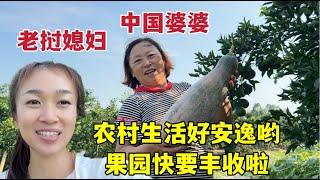 老撾媳嫁中國農村超幸福，果園即將大豐收，婆媳二人超興奮！