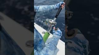 The most beautiful sound in the world #tuna #fishing #shorts #short #shortvideo