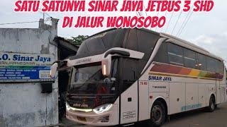 Sinar Jaya 76 RD Jadi Satu-satunya Jetbus 3 SHD Di Jalur Wonosobo‼️Kupu Kupu Ayu Libur ⁉️