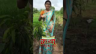 मळ्यातल्या कथा सिरीज  #ppgfilms #malyatalyakatha